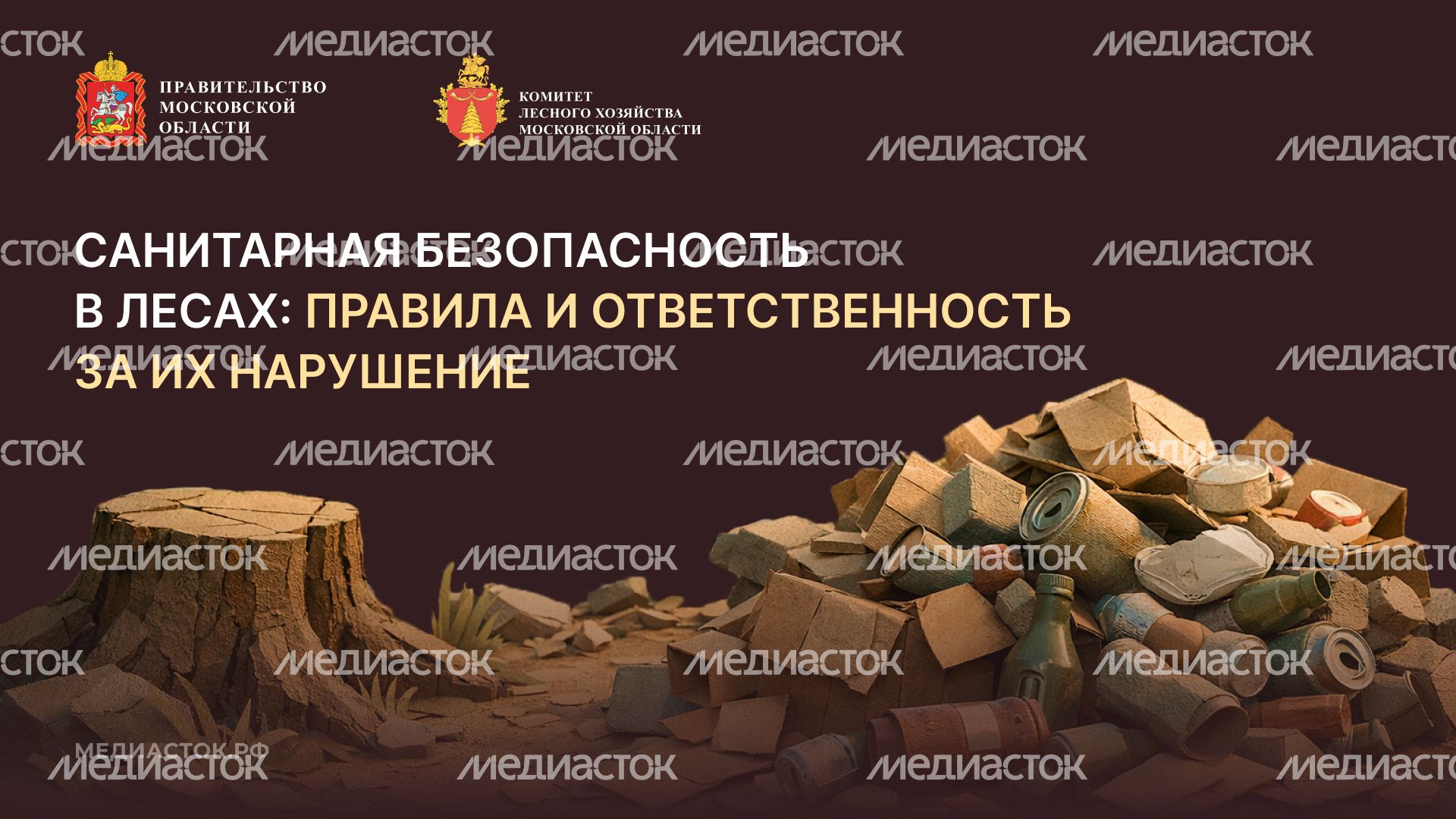 Санитарная безопасность в лесах горизонталь 01