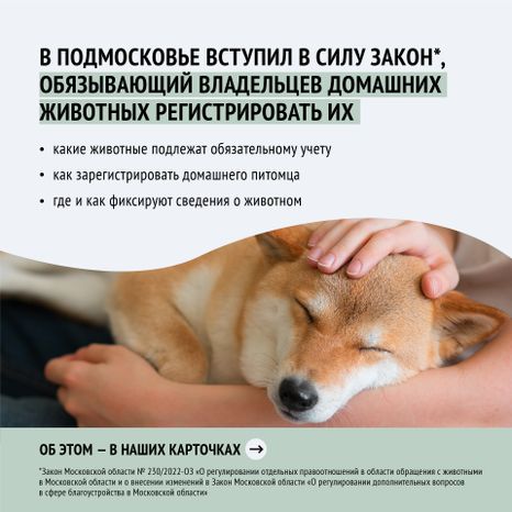 Квадрат зарегистрировать домашнее животное_02-100.jpg