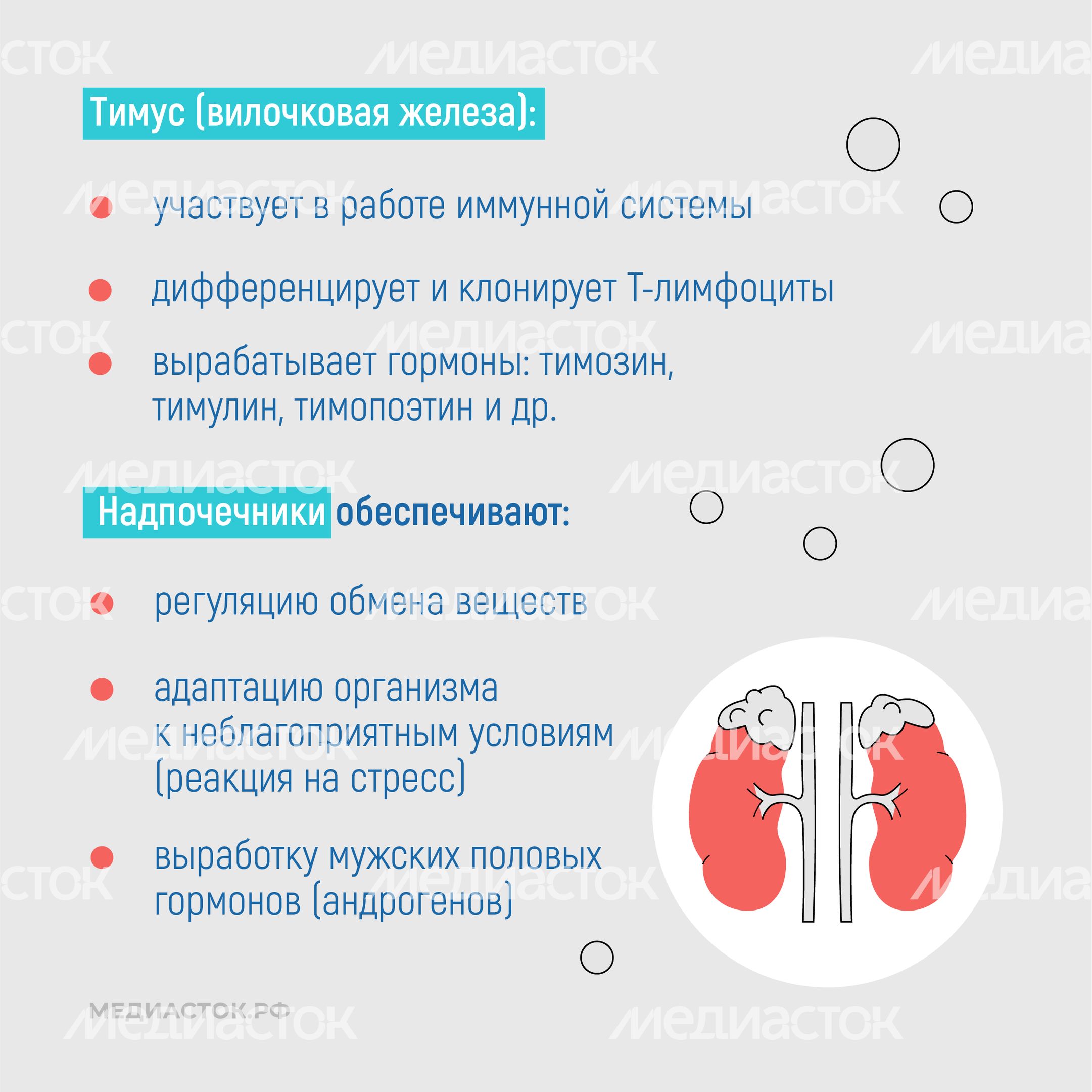 Эндокринные заболевания у наркозависимых квадрат 06 Эндокринные заболевания у наркозависимых квадрат 06