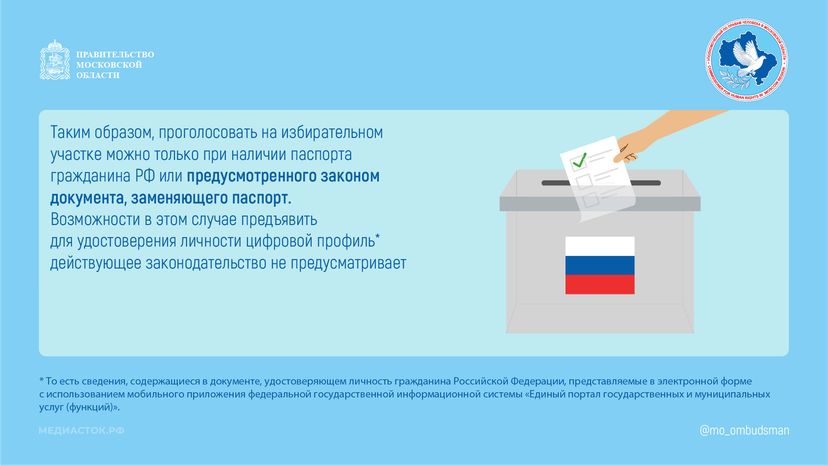 Можно ли проголосовать на избирательном участке с профилем Госуслуг горизонталь 03