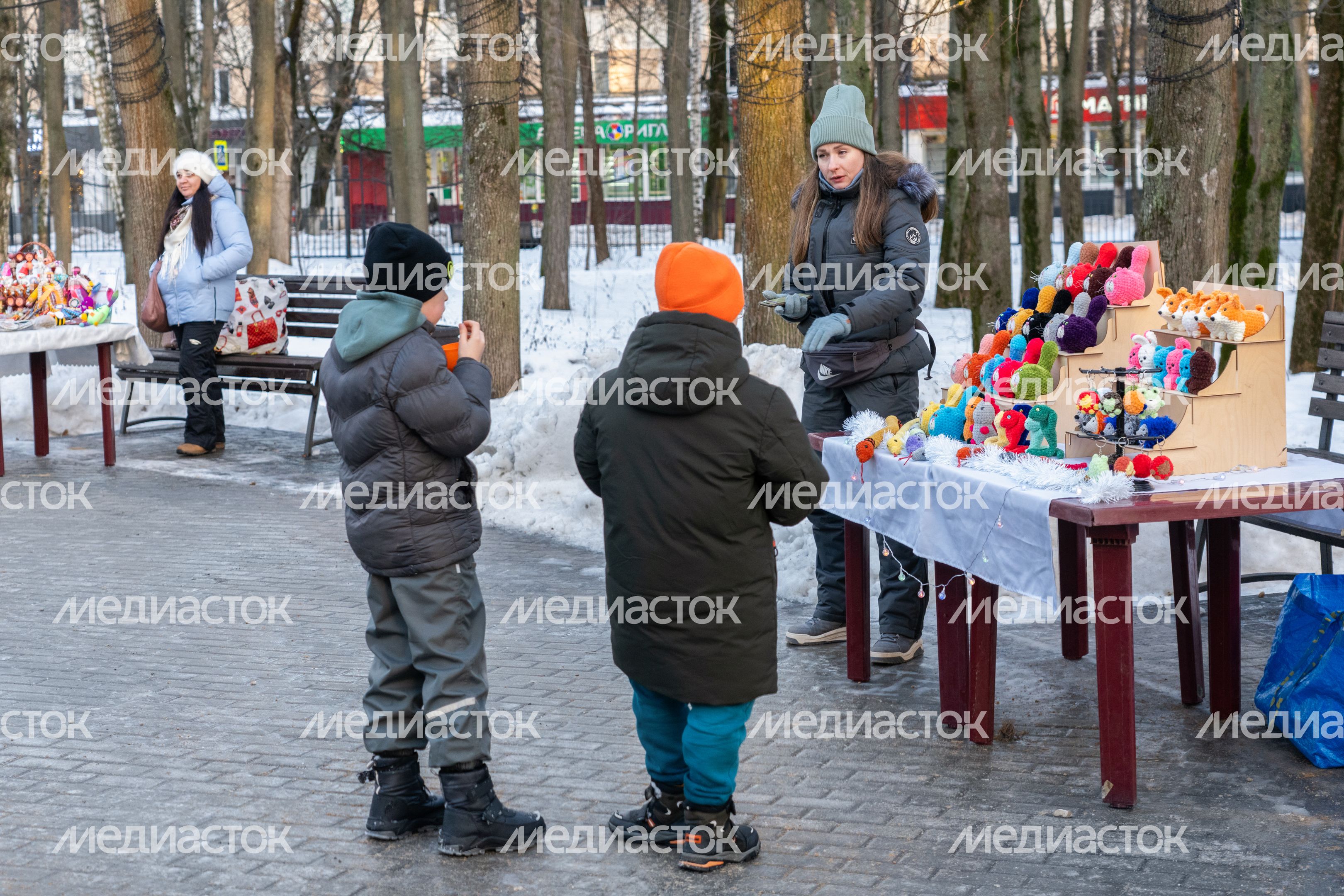 Зима в Красногорском городском парке Зима в Красногорском городском парке