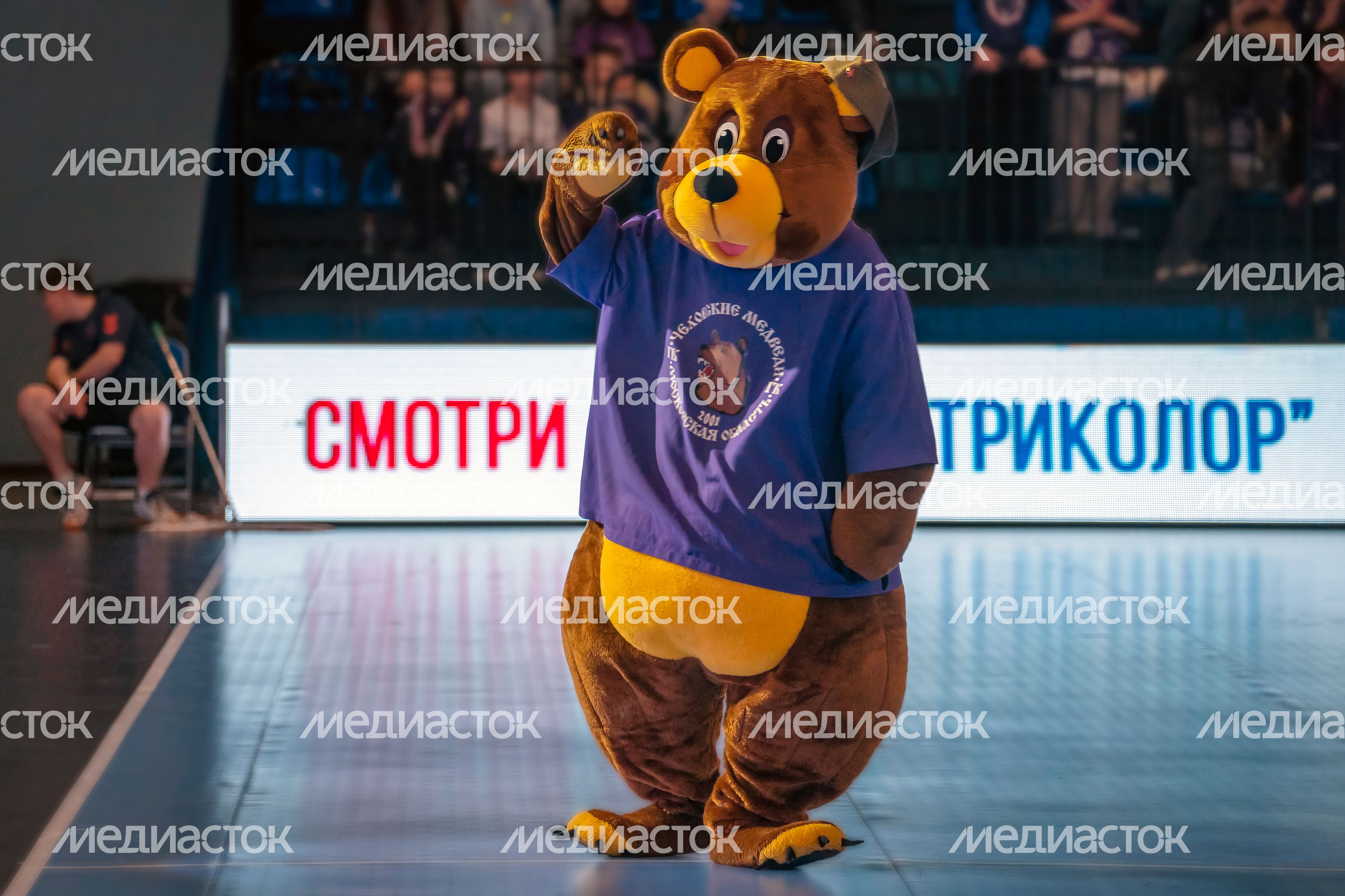 Четвертьфинальный матч мужского гандбольного Кубка России «Чеховские Медведи» – «ВиктОр» Четвертьфинальный матч мужского гандбольного Кубка России «Чеховские Медведи» – «ВиктОр»