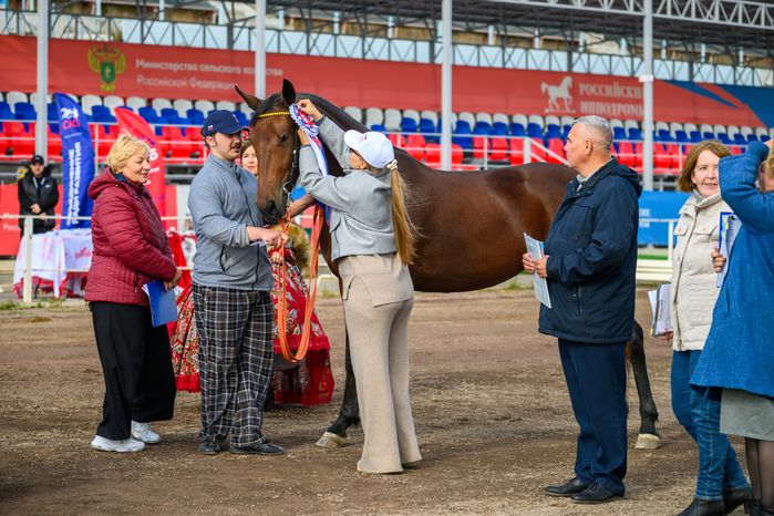 Награждение на Чемпионате России для лошадей орловской рысистой породы на Раменском ипподроме