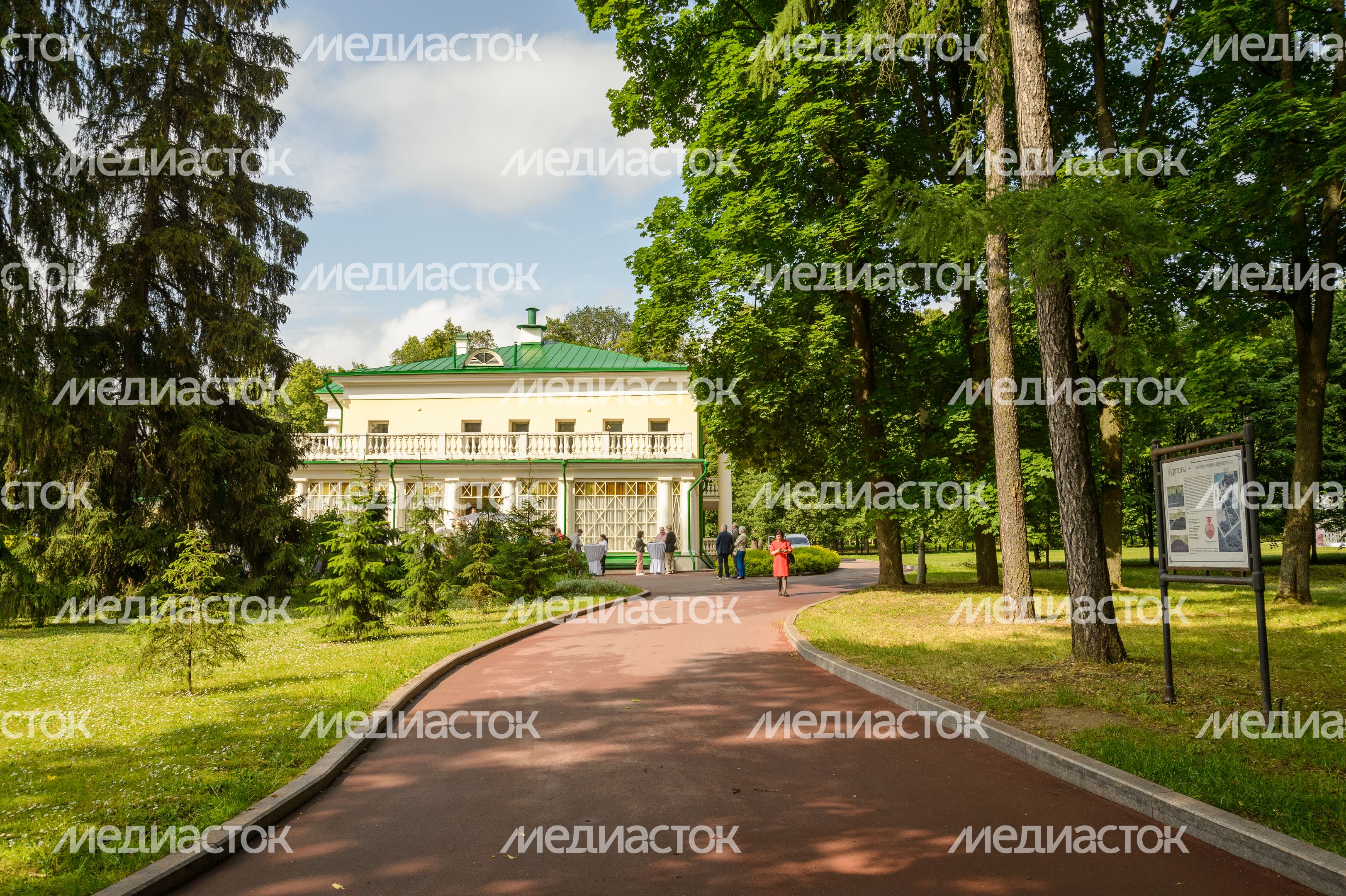 Пальмы и Розы Зинаиды Морозовой