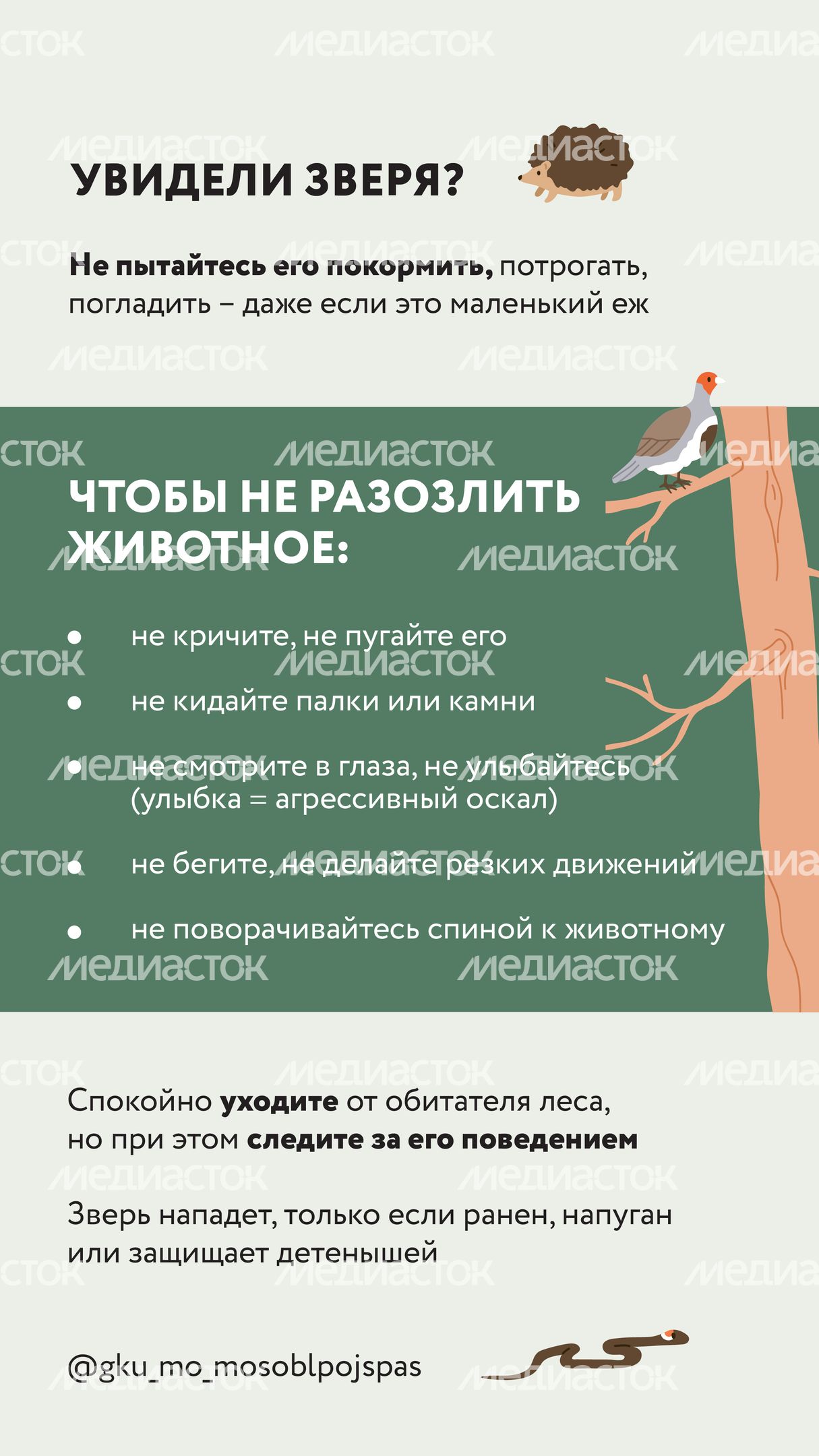 Вертикаль Безопасность в лесу 04.jpg