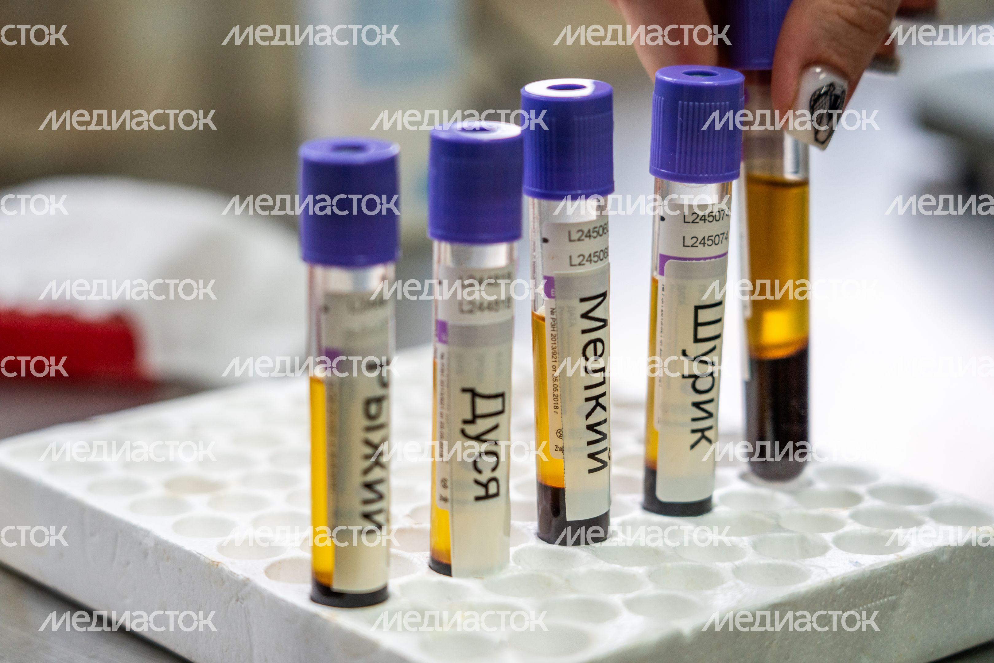 Анализы домашних животных на Истринской ветеринарной станции