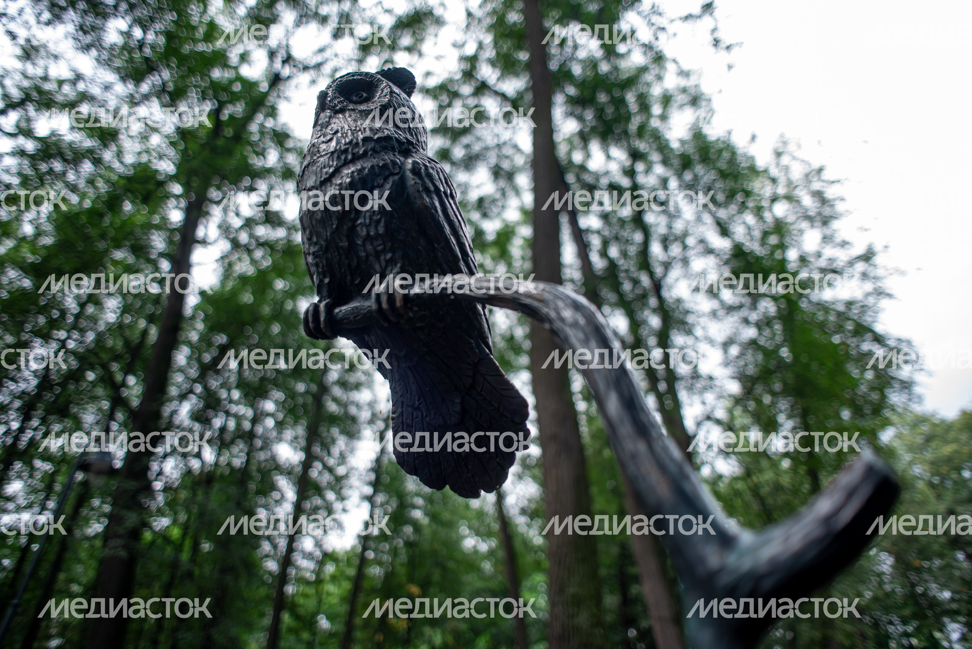 Летние виды Усадьбы Кривякино в городе Воскресенск