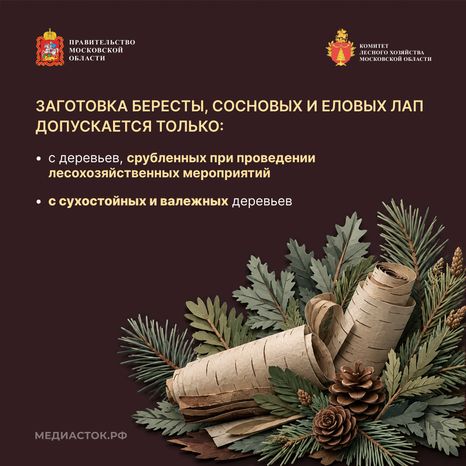 Недревесные ресурсы для собственных нужд Квадрат 06
