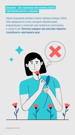 Как употребление психоактивных веществ влияет на обоняние вертикаль 04