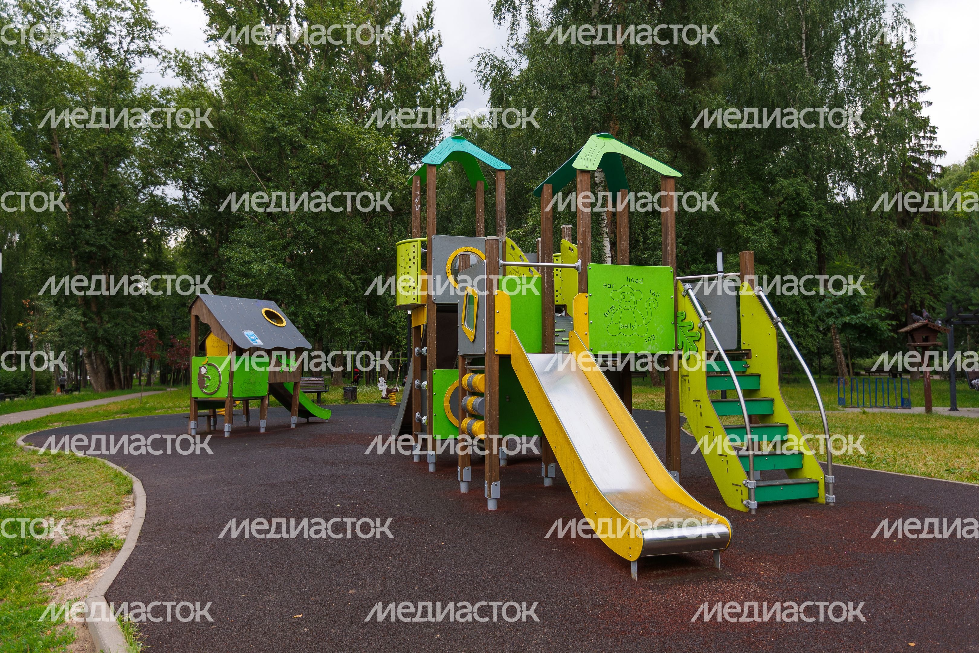 Лето в парке «Малаховское озеро» в Люберцах