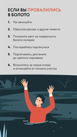 Болото-Вертикаль-06.jpg