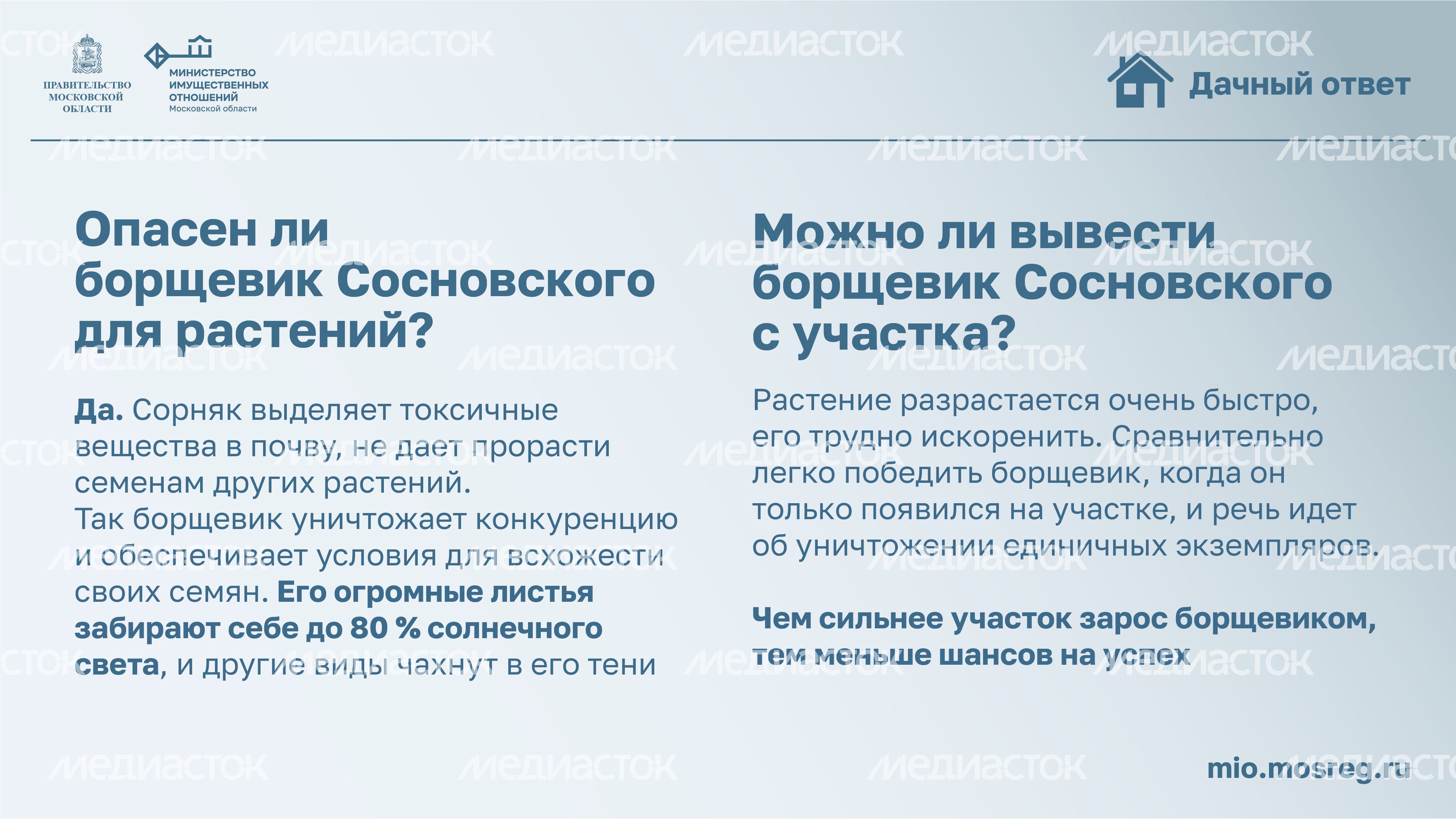 Дачный ответ_борщевик-09.jpg