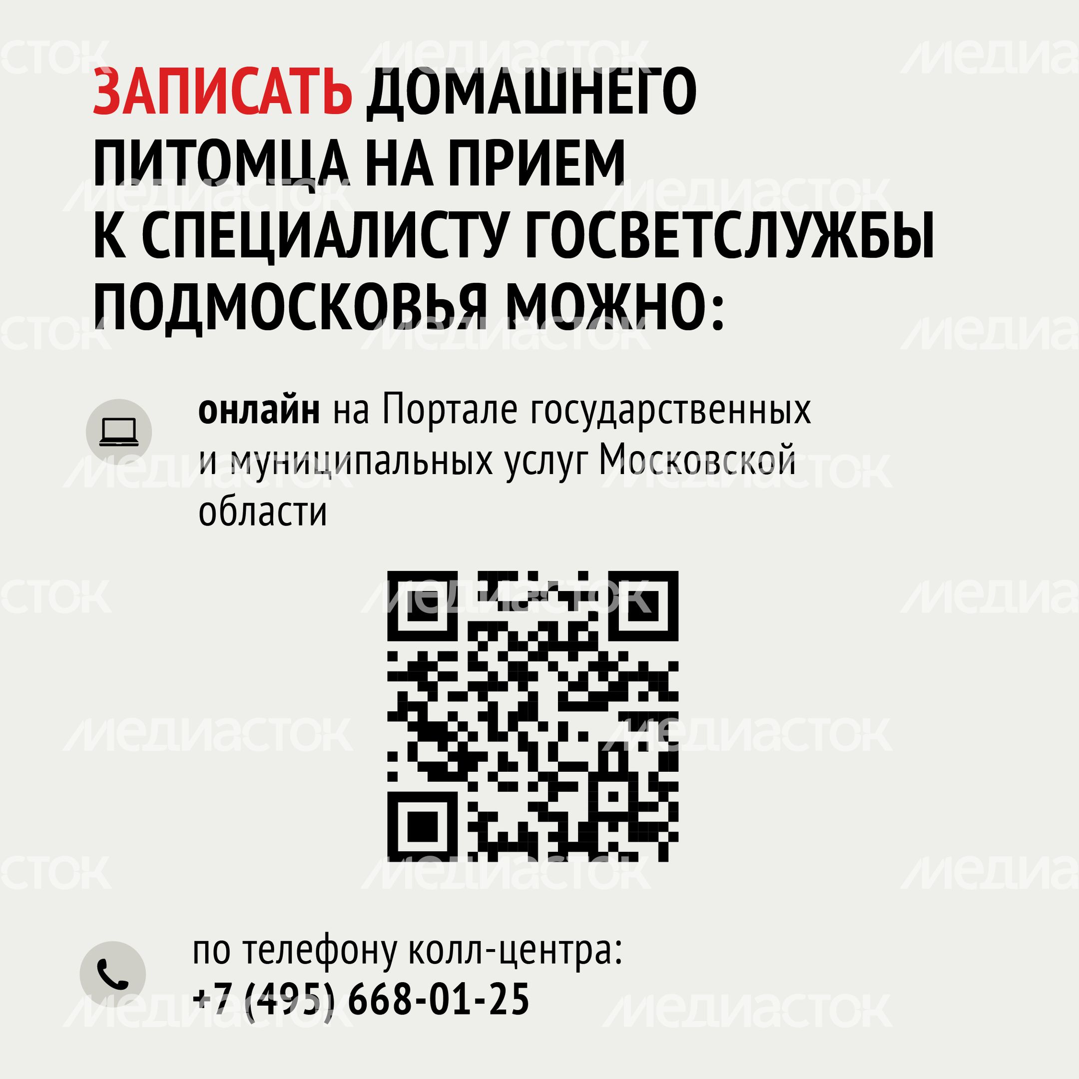 Клещи-15.jpg