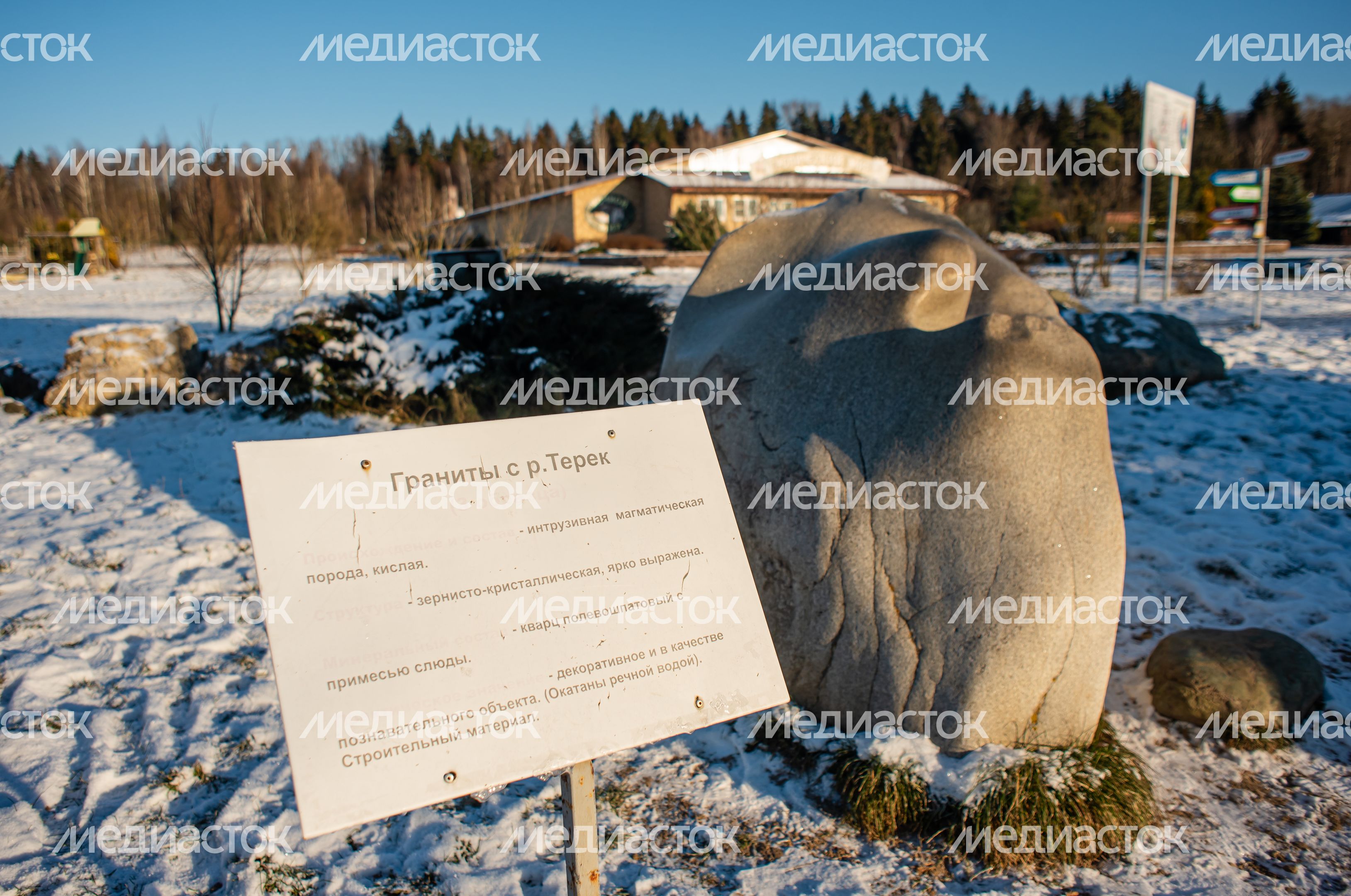 Зимний Парк Птиц «Воробьи»