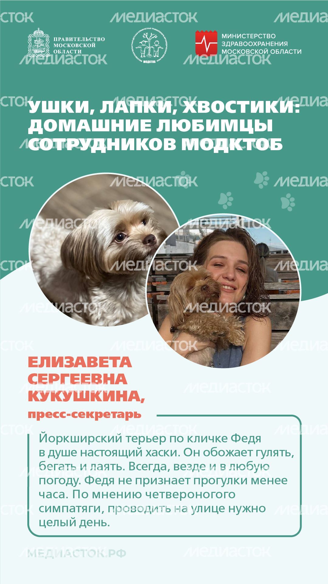 Ушки, лапки, хвостики вертикаль 03 Ушки, лапки, хвостики вертикаль 03