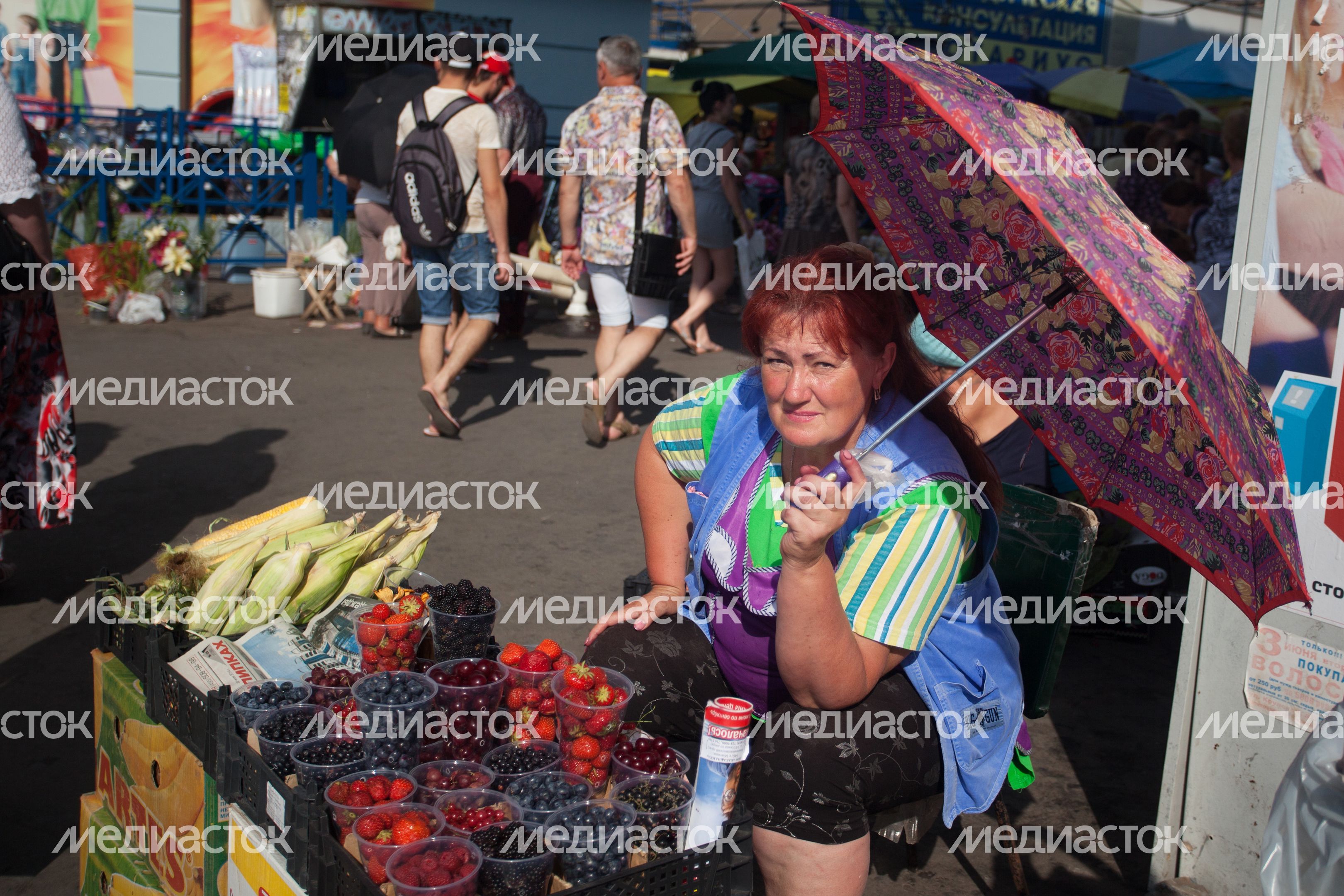 Жара в Московской области Жара в Московской области