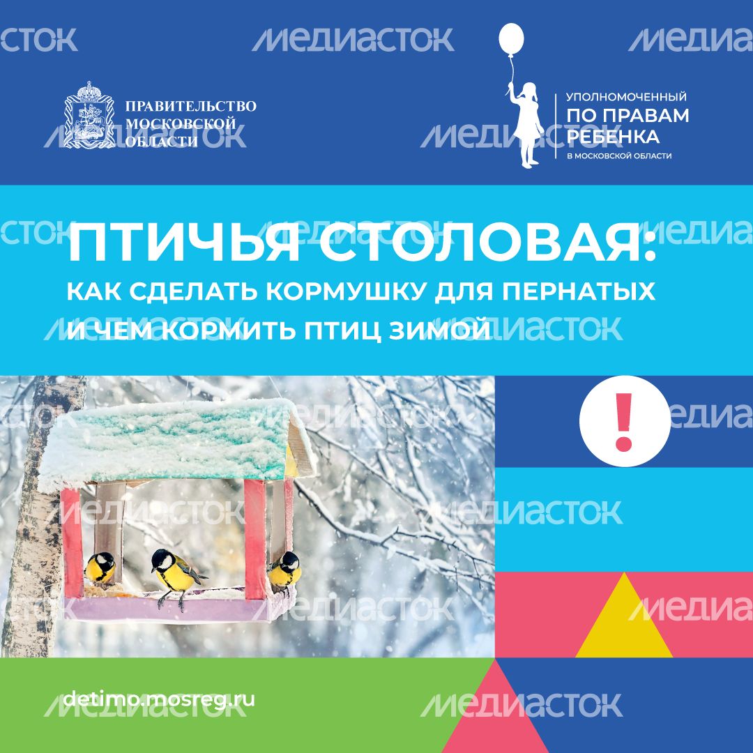 синичкин_день_квадрат_01.jpg