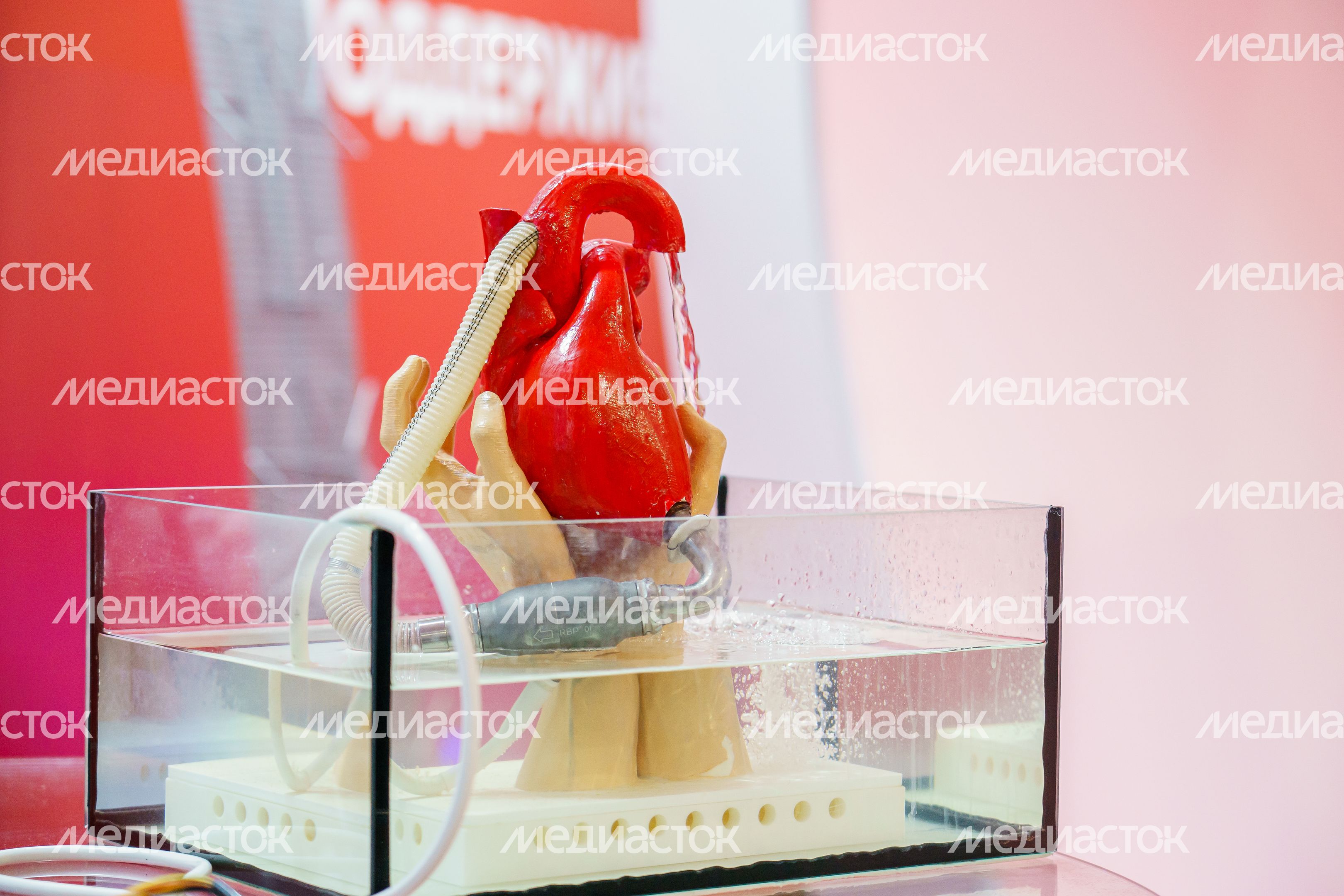 Фестиваль профессий на выставке "Россия". Стенд «Ученые будущего» Фестиваль профессий на выставке "Россия". Стенд «Ученые будущего»