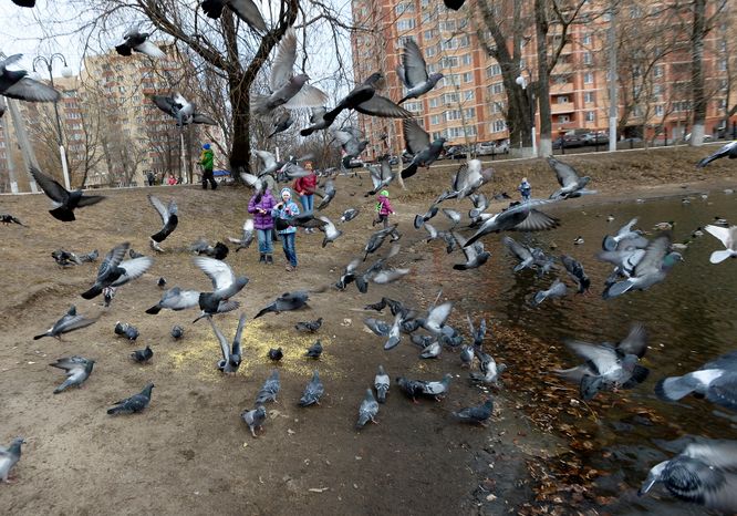 Наташинский парк в Люберцах