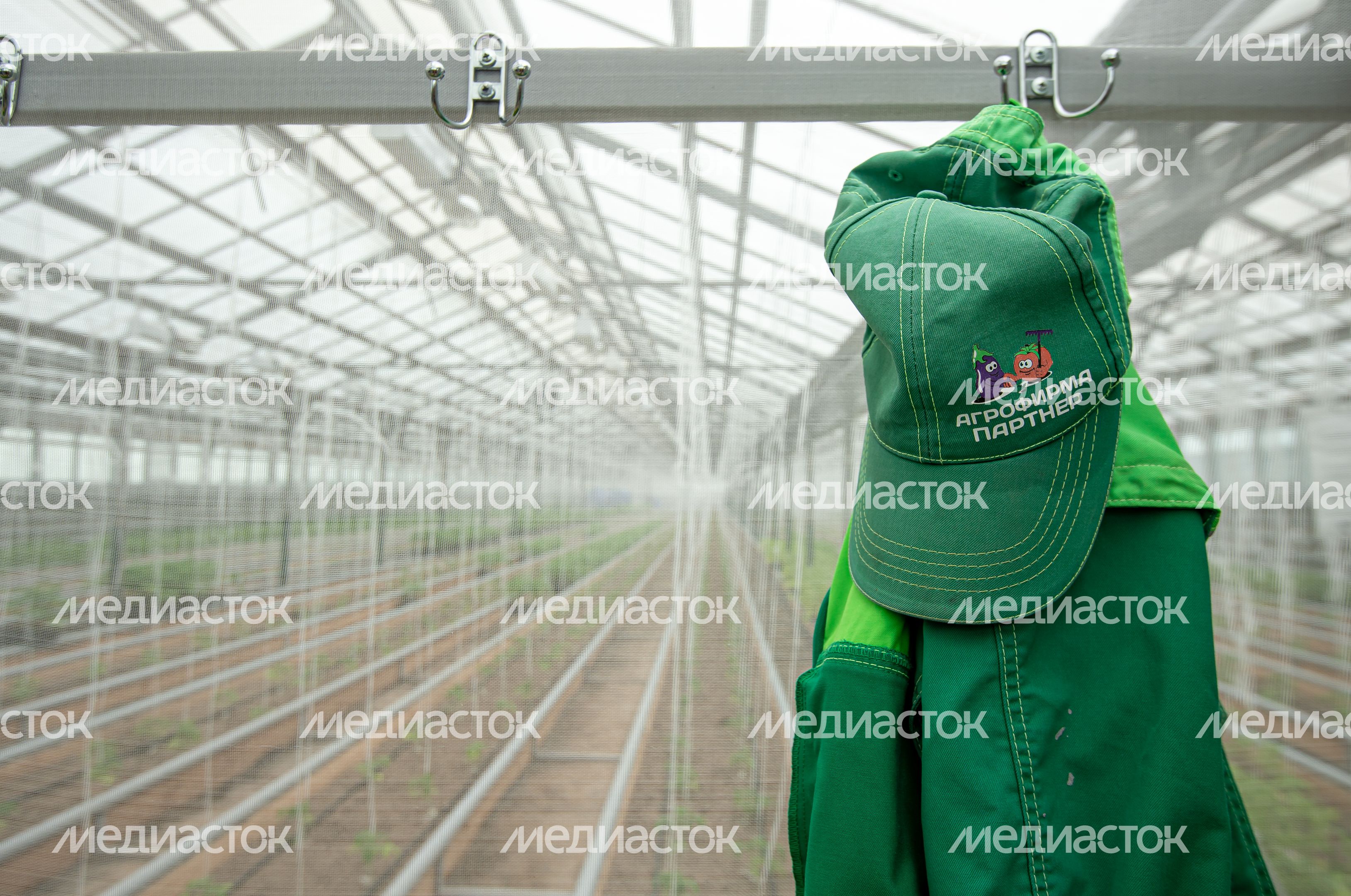 Теплицы крупного семеноводческого агропромышленного комплекса ООО «Агрофирма Партнер» Теплицы крупного семеноводческого агропромышленного комплекса ООО «Агрофирма Партнер»
