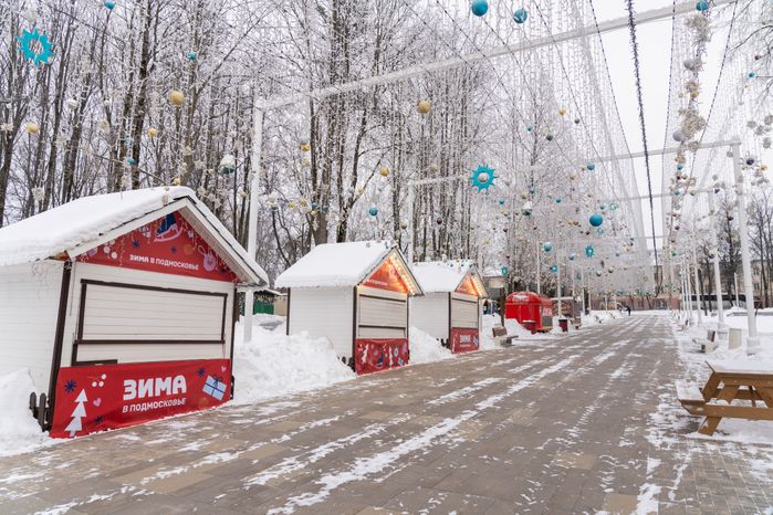 Истринский городской парк зимой