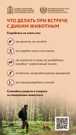 Что делать при встрече с диким животным вертикаль 04