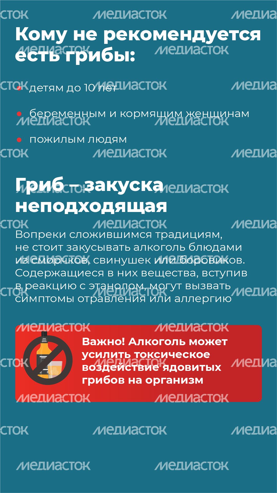 14 Вертикаль_грибы_10-100