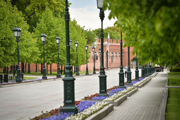 Повседневная жизнь в Москве в период цветения