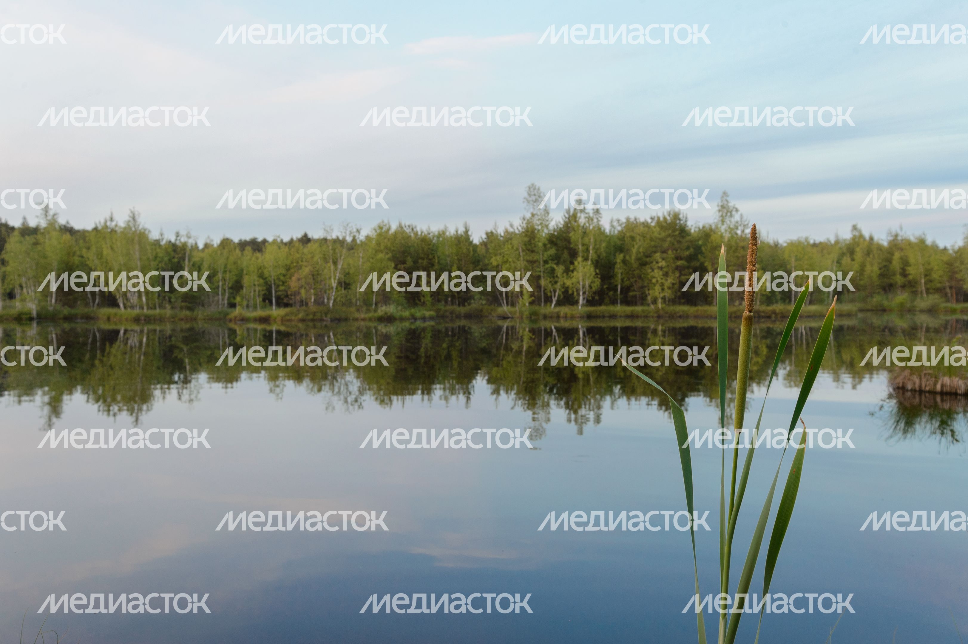 Озеро Безменковский Карьер