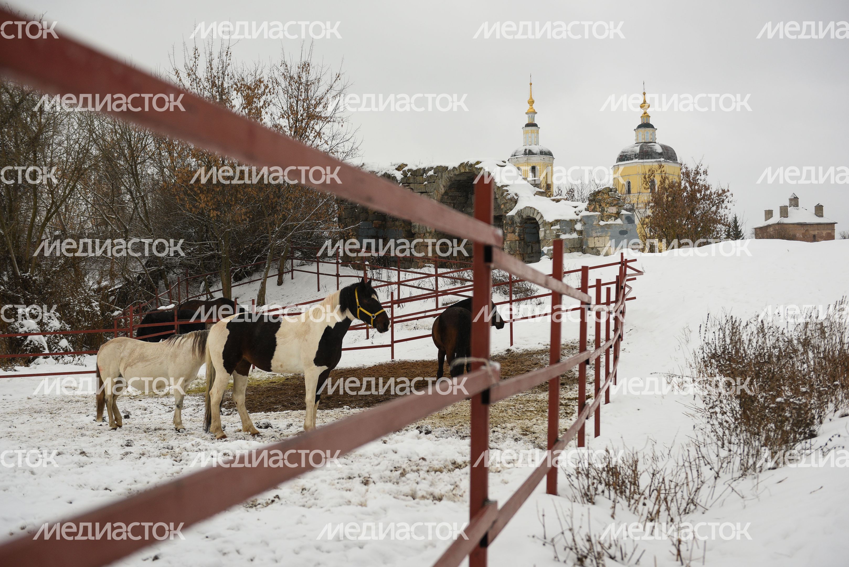 Виды города Серпухов зимой