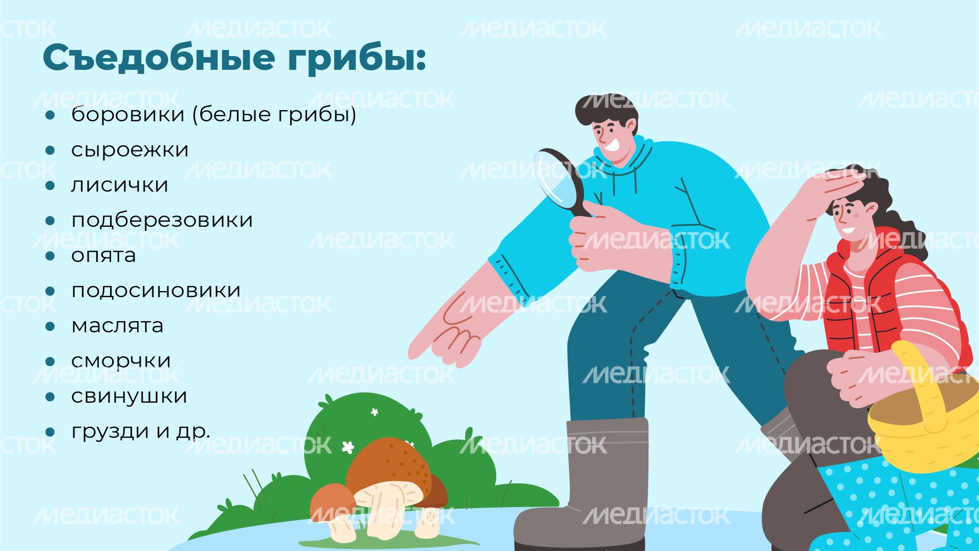 27 Горизонталь_грибы_03-100