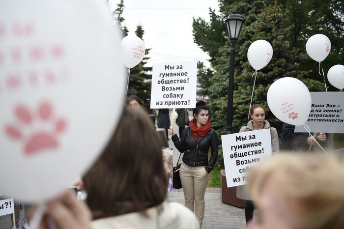Митинг в защиту животных из приютов в Москве