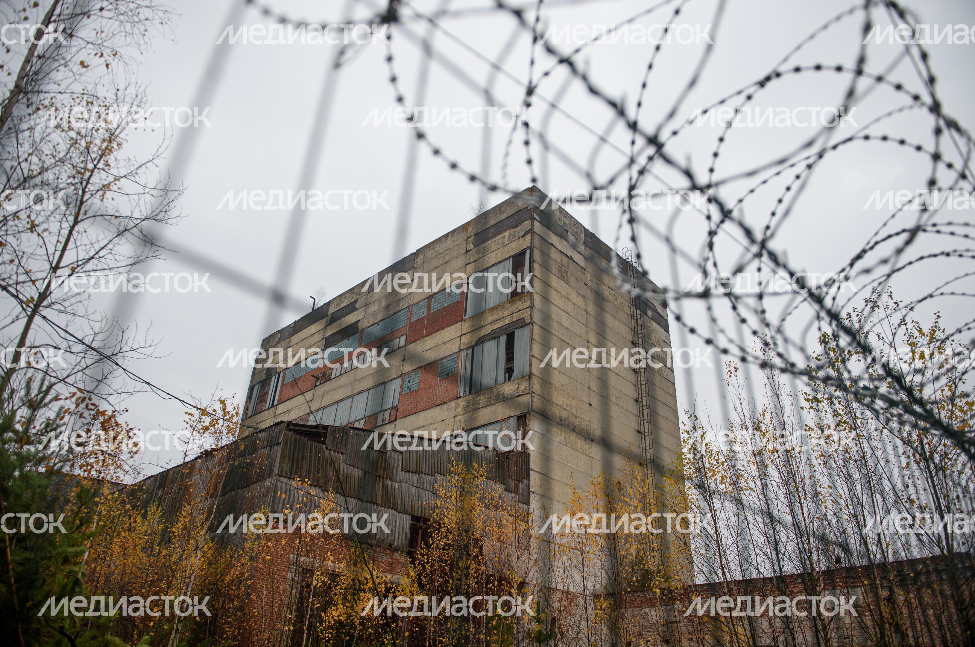 Осенние виды заброшенного завода «Кормофос»