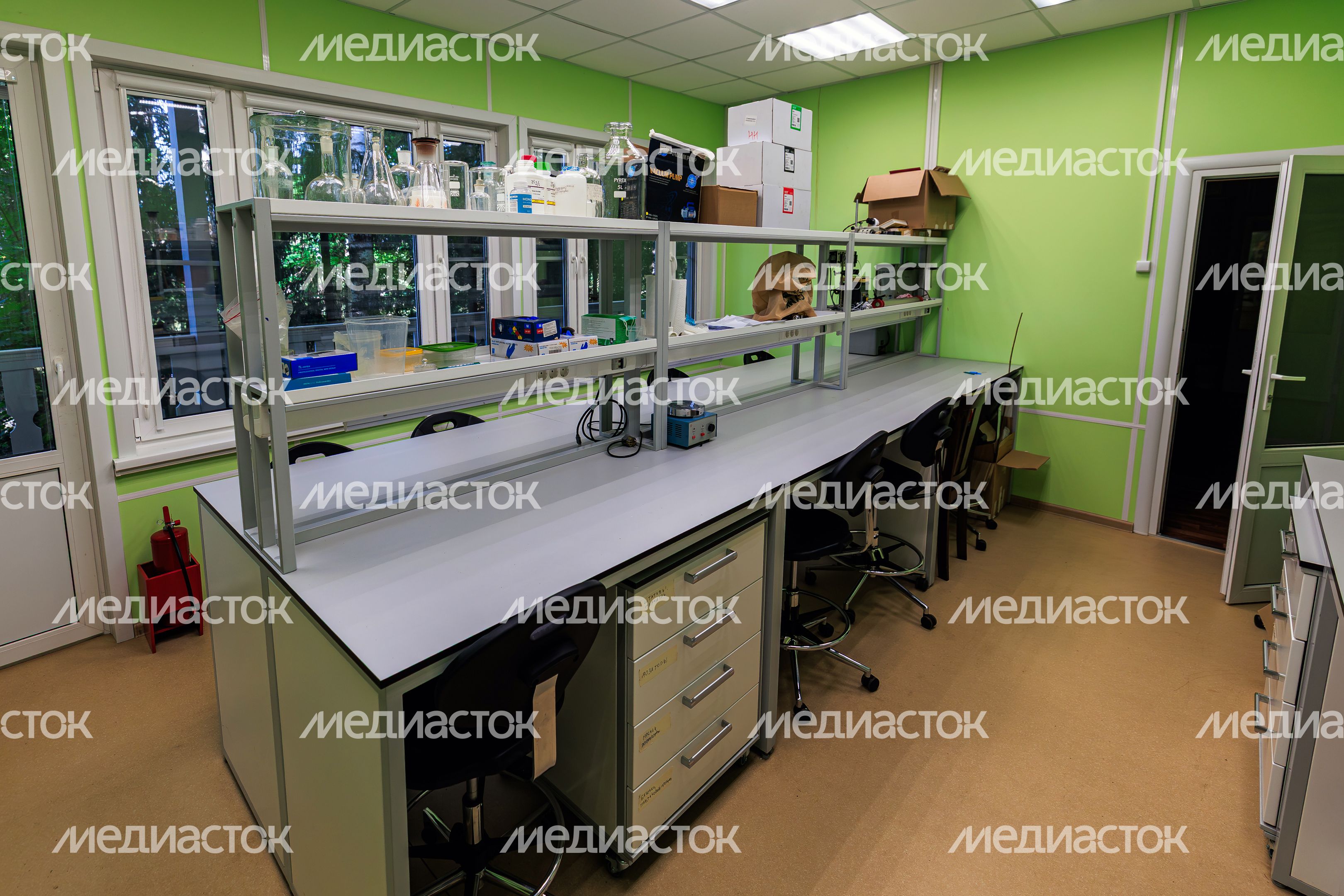 Заказник "Звенигородская биологическая станция имени С.Н. Скадовского МГУ" Заказник "Звенигородская биологическая станция имени С.Н. Скадовского МГУ"