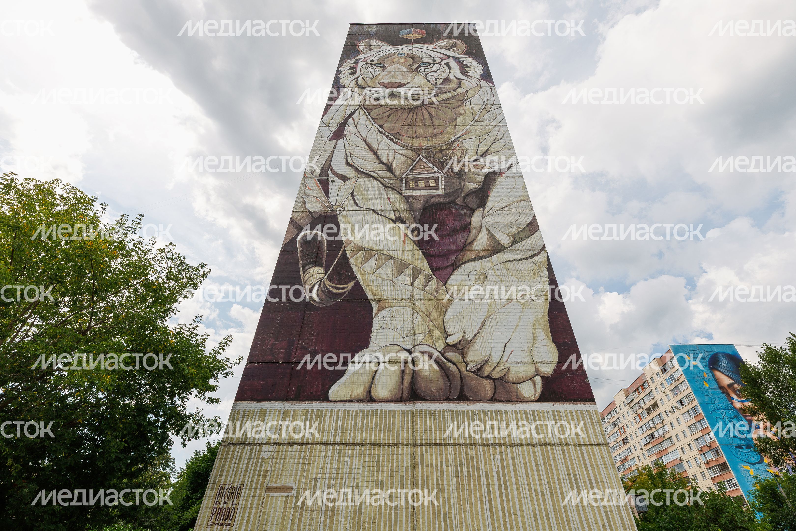 Муралы в Железнодорожном, Балашиха