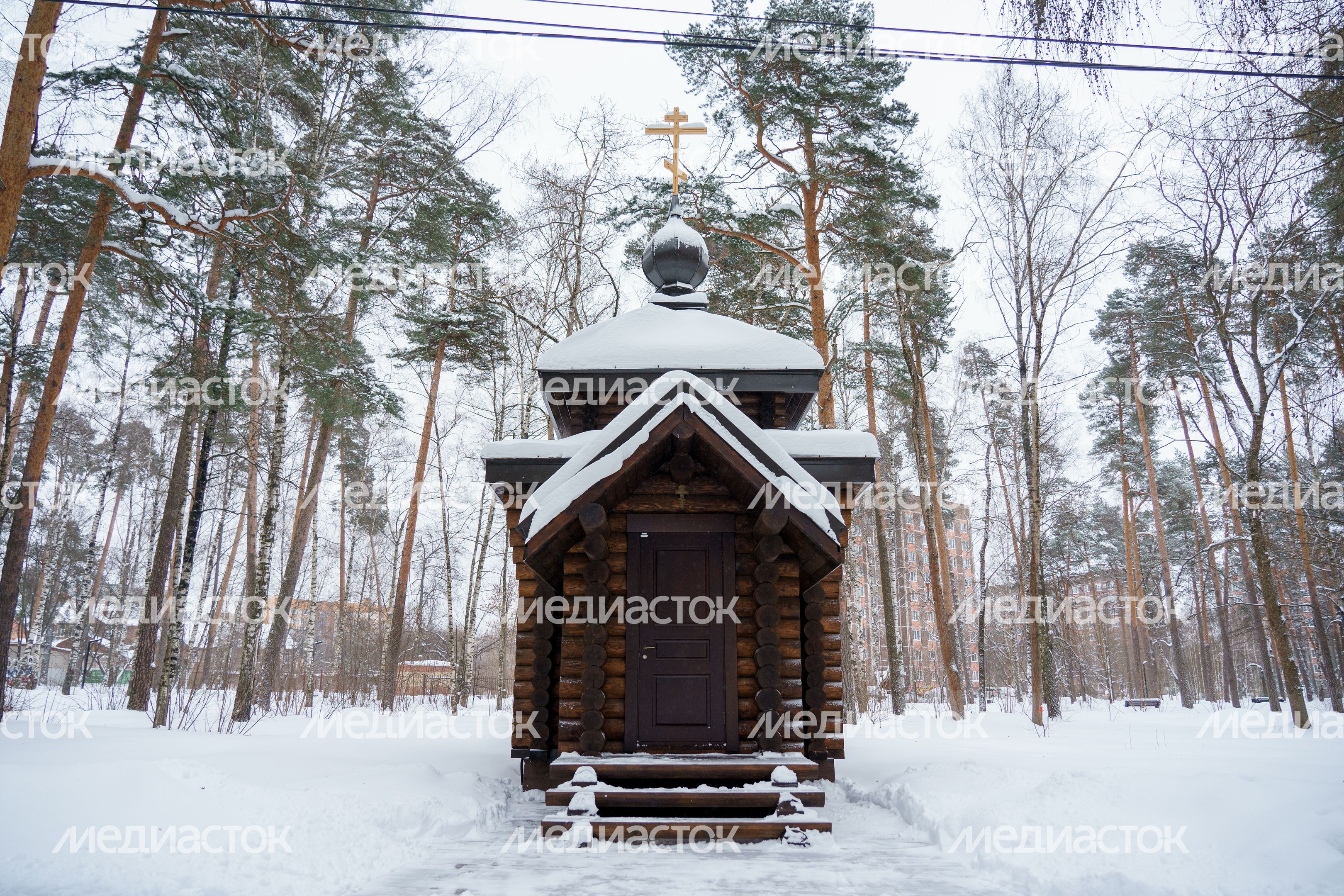Богородский. Ногинск. Дом-музей семьи А.И. Морозова Богородский. Ногинск. Дом-музей семьи А.И. Морозова
