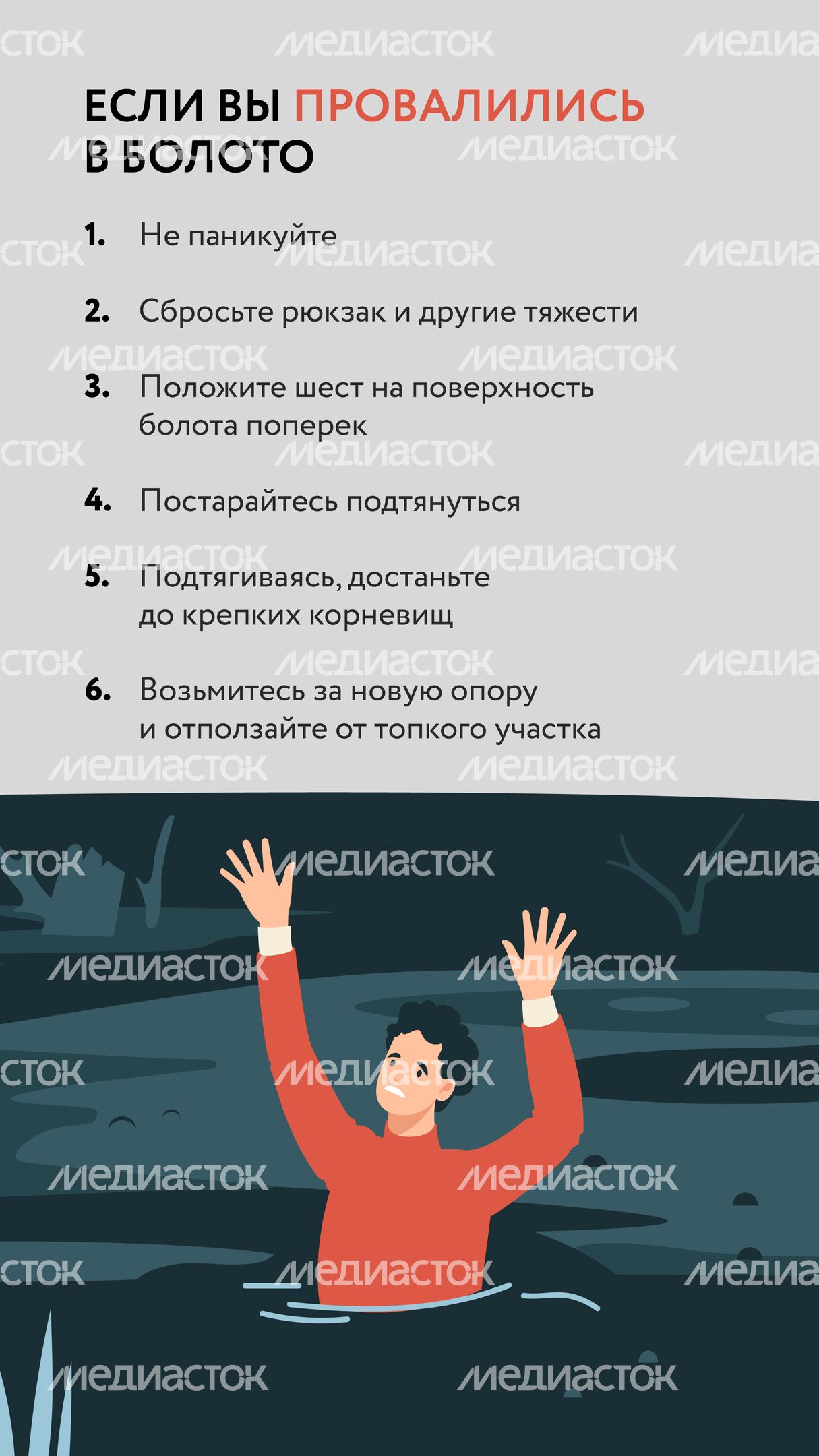 Болото-Вертикаль-06.jpg