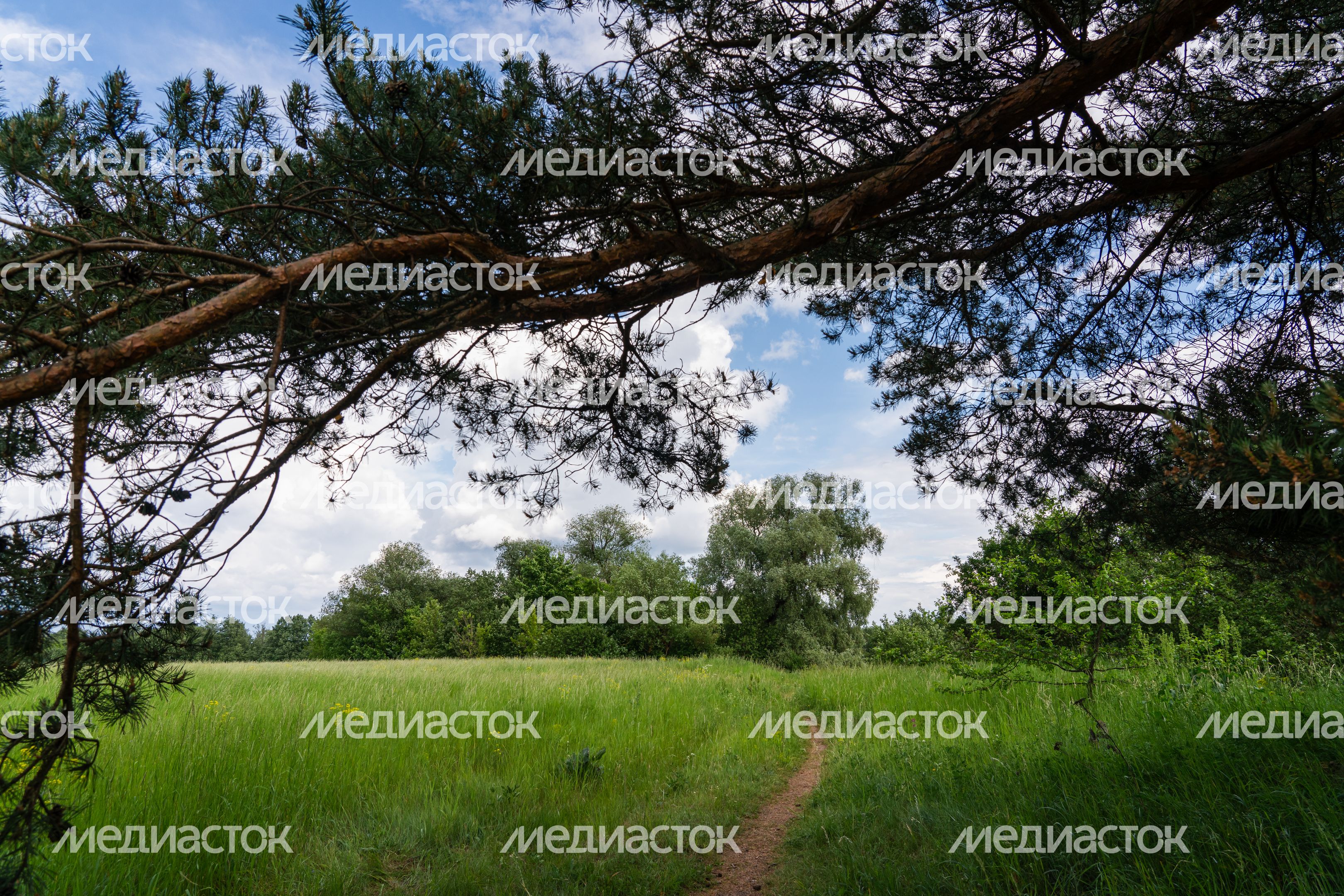 Заповедник "Лохин остров": нетронутая природа в округе Красногорск Заповедник "Лохин остров": нетронутая природа в округе Красногорск