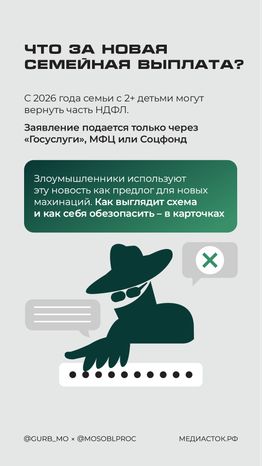 Фейковые семейные выплаты вертикаль 02