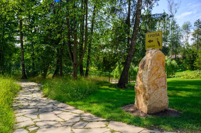Каменная тропа в лесопарке «Ближняя дача» в Мытищах