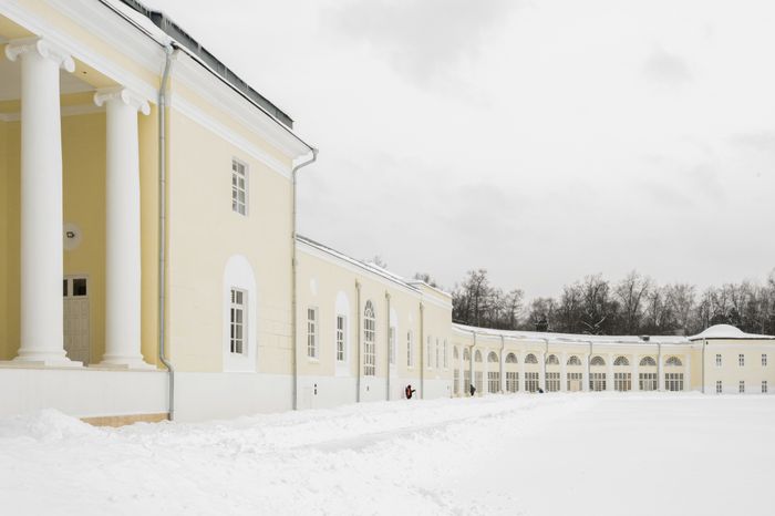 Балашиха. Усадьба Горенки. Зима