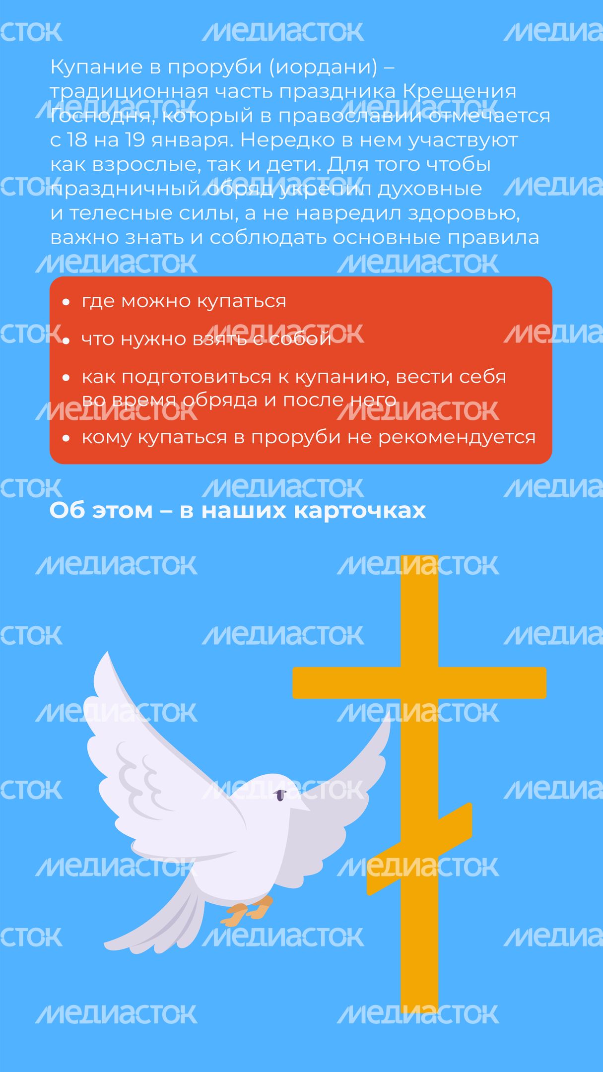 Крещенские купания-вертикаль-02