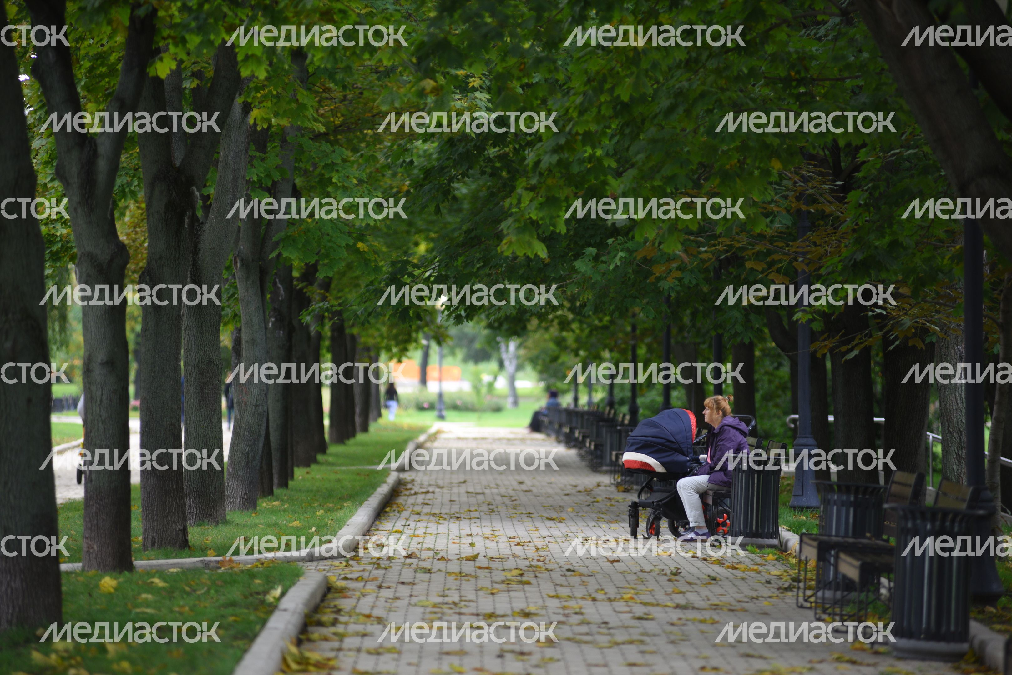 Парк Новодевичьи пруды в Москве