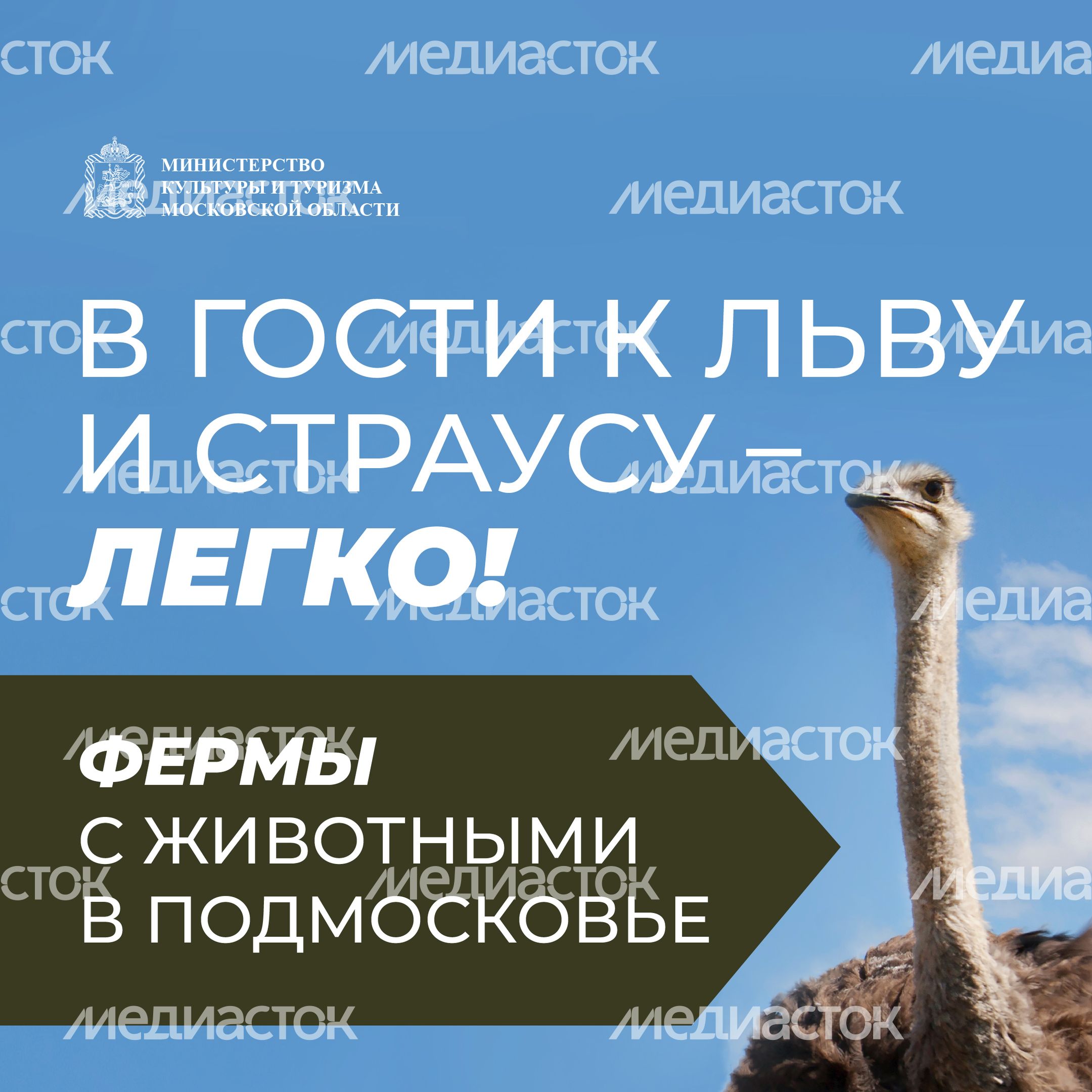 Фермы с животными-19.jpg