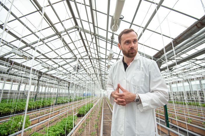 Теплицы крупного семеноводческого агропромышленного комплекса ООО «Агрофирма Партнер»
