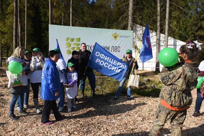 Ежегодная экологическая акция «Наш лес. Посади свое дерево» в Одинцовском городском округе