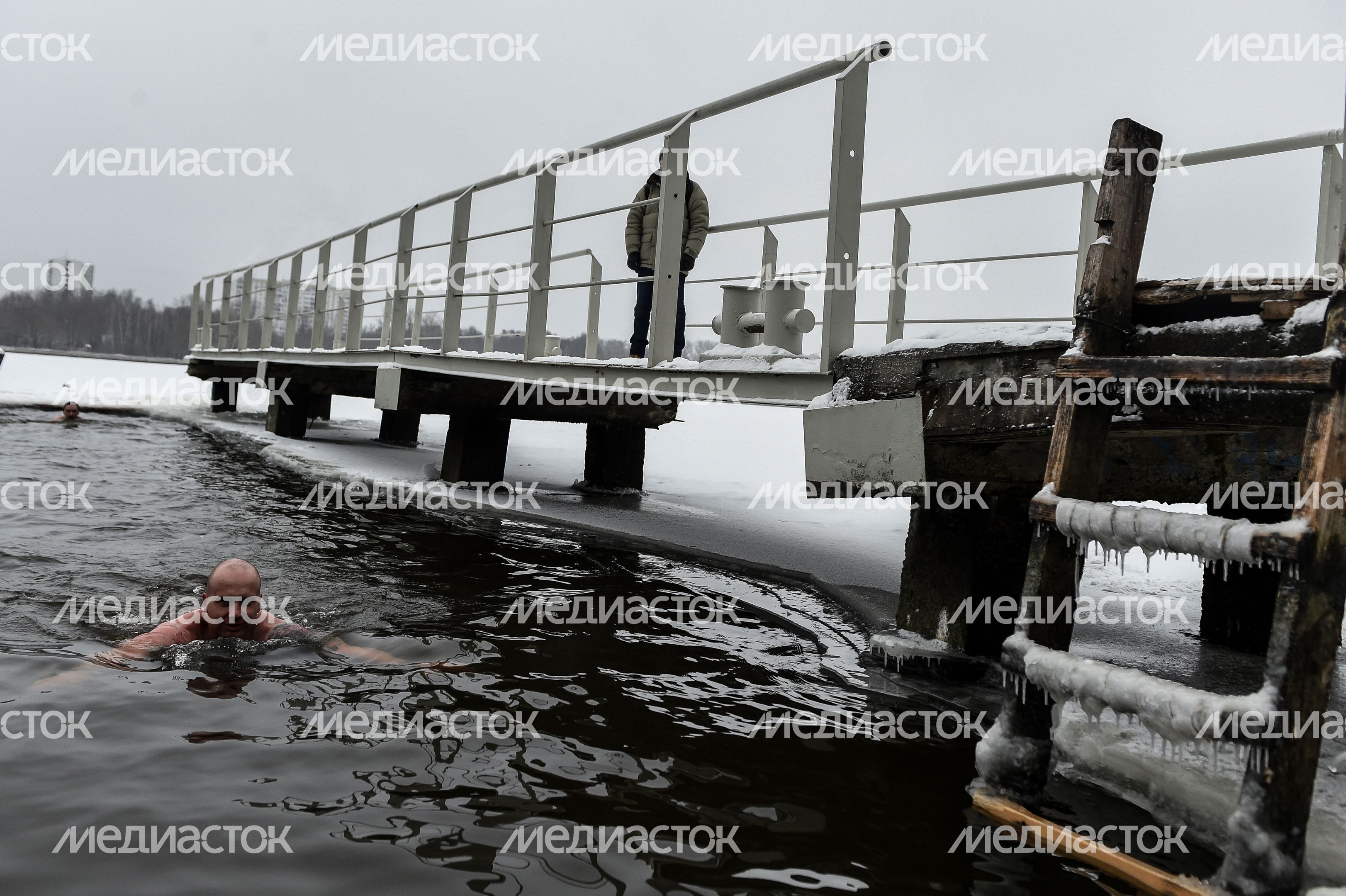 Купание моржей в Долгопрудном