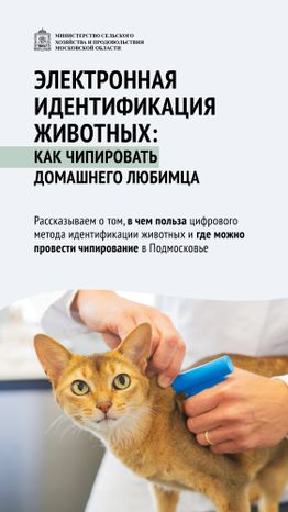 Чипирование-01.jpg