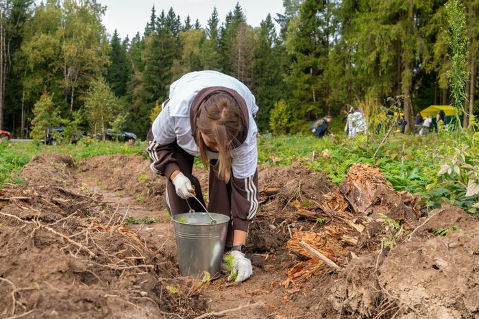 Саженцы сосны и ели высадили на экологической акции «Сохраним лес» в Рузском округе