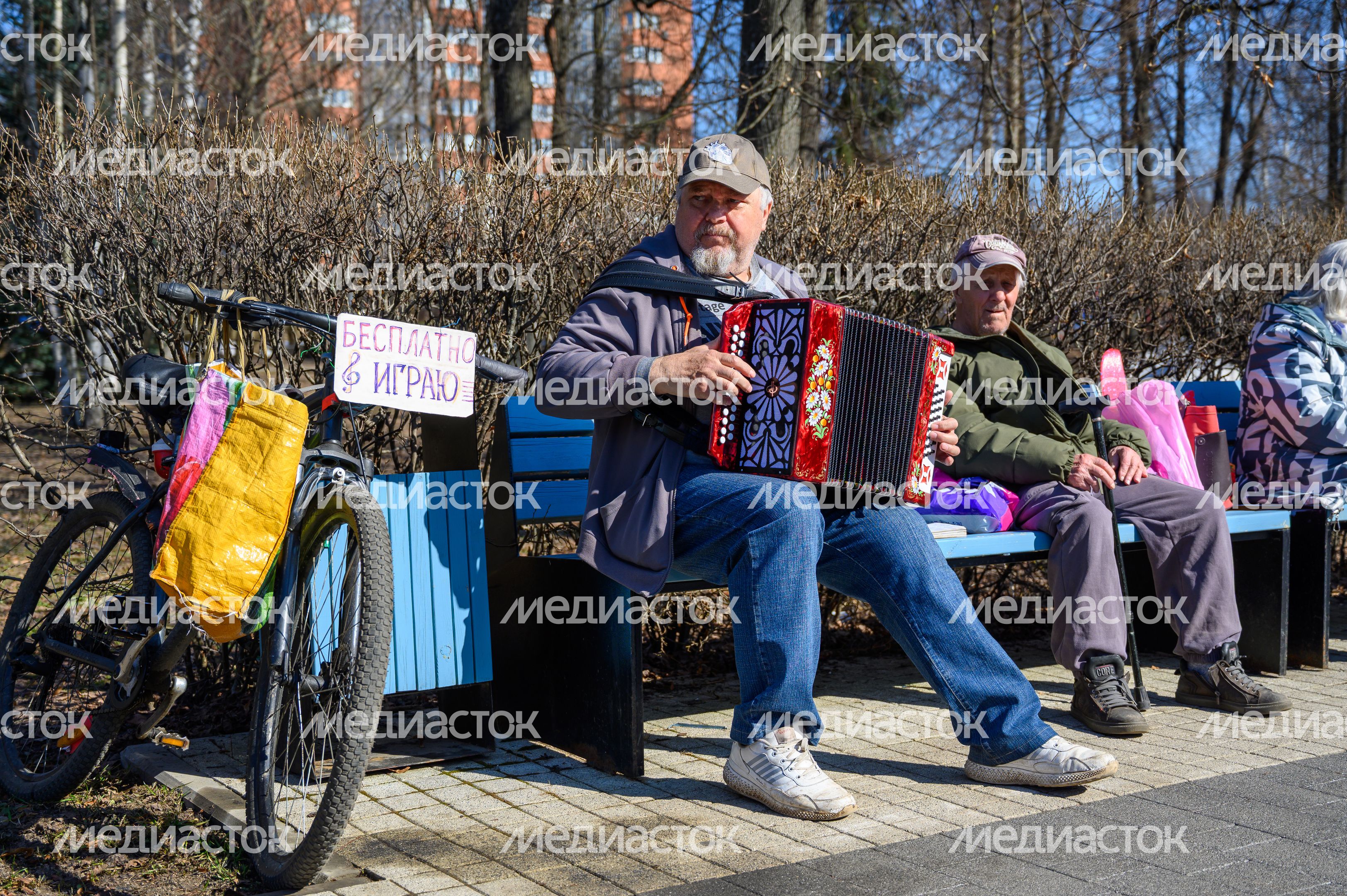 Мужчина играет на баяне в парке Мира города Мытищи